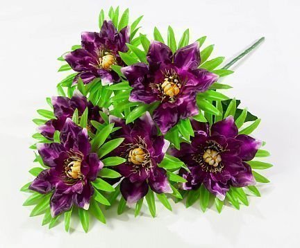 Георгин "Соната" 6 цветков от магазина KALINA являющийся официальным дистрибьютором в России 