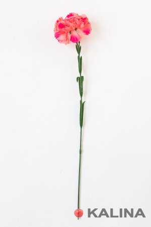 Гвоздика 1 цветок