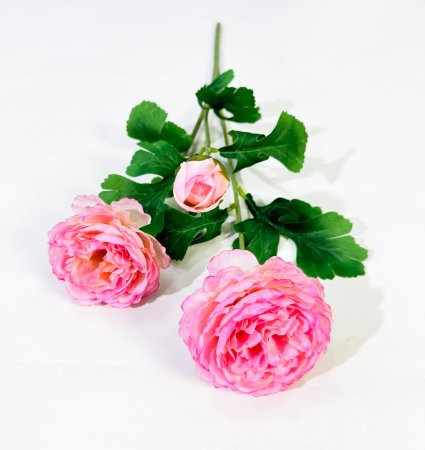 Пион "Махровый" 2 цветка 1 бутон розовый