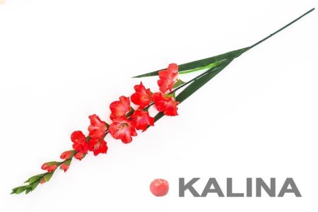 Ветка гладиолуса 9 цветков 8 бутонов