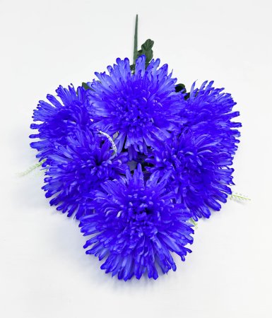 Астра Энигма 6 цветков