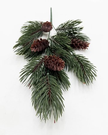 картинка Сосновая ветка "Заповедный лес"  от магазина KALINA