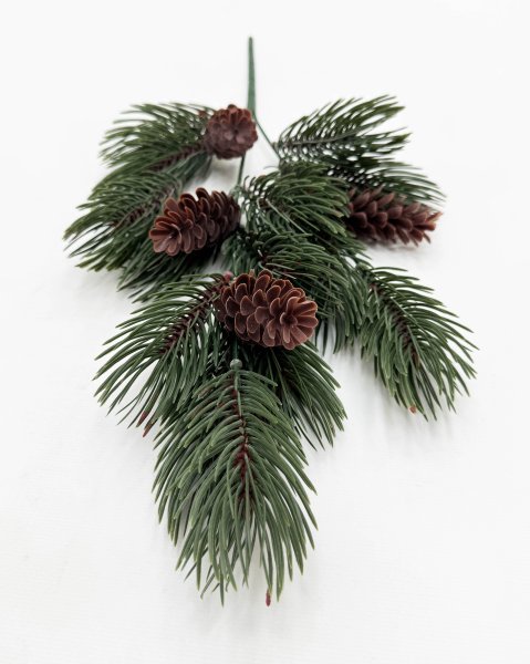 картинка Сосновая ветка "Заповедный лес"  от магазина KALINA