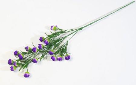 Ветка Пицея высокая фиолет