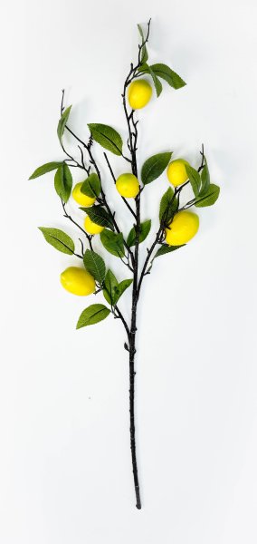 Ветка лимона 7 плодов