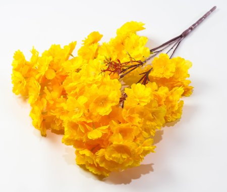 Ветка яблони 5 веток