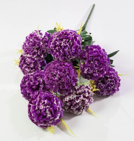 Шафран «Пурпур» 9 цветков