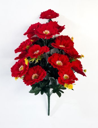 Астра "Янина" 24 цветка