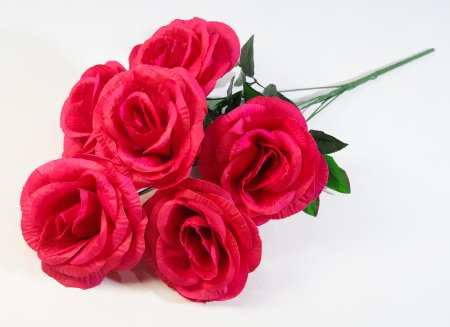 Букет роз Великан 6 цветков