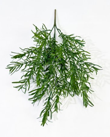 картинка Розмарин зеленый от магазина KALINA