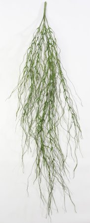 картинка Тилландсия темная от магазина KALINA