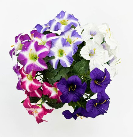 Петуния "Легкая волна" 5 цветков