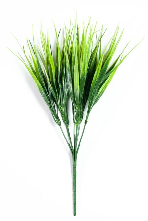 картинка Букет осоки 7 веток от магазина KALINA