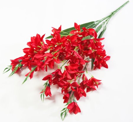 Орхидея "Аранда" 5 веток