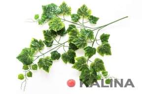 картинка Лист винограда 3 ветки от магазина KALINA