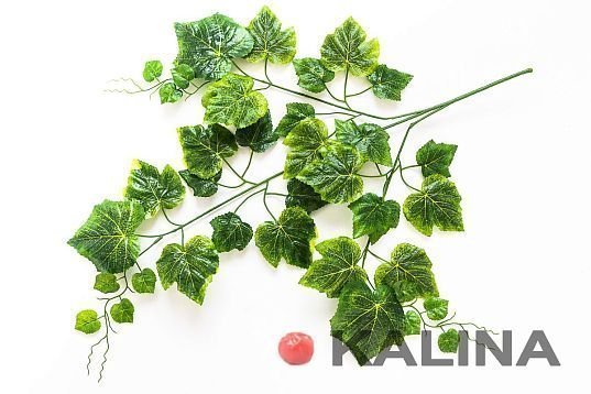 картинка Лист винограда 3 ветки магазин KALINA являющийся официальным дистрибьютором в России 