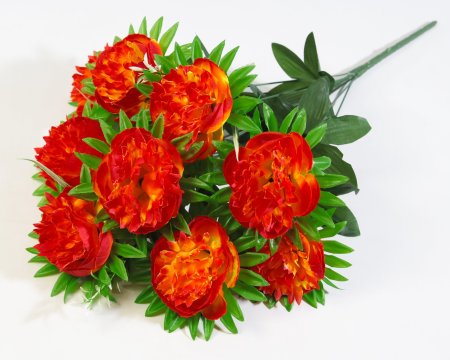 Букет роз "Балерина" 9 цветков