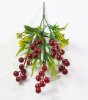 картинка Ветка ягод от магазина KALINA