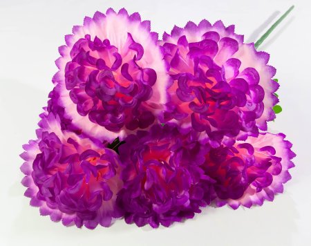 Шафран "Звезда великан"