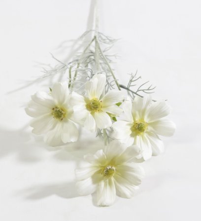 Ветка космеи белая