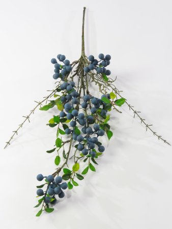 Ветка черники