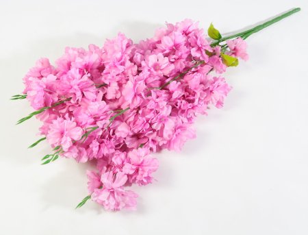 Ветка яблони "Неженка" 5 веток