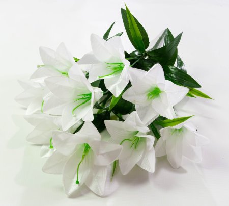 Лилия "Алика" 9 цветков