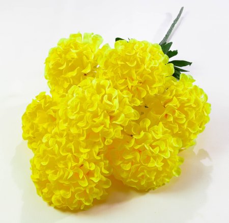 Шафран махровый 7 веток