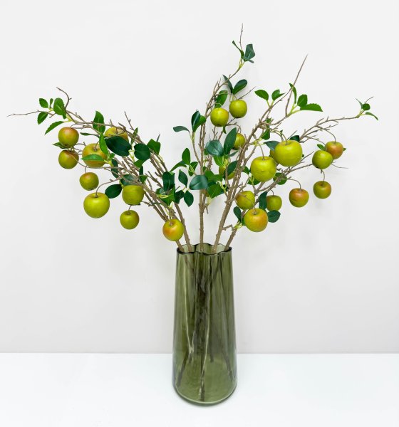 Ветка зеленой ранетки 5 плодов