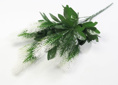 Ветка Хвоща  7 веток