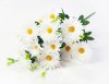 Букет ромашек "Шато" 13 цветков