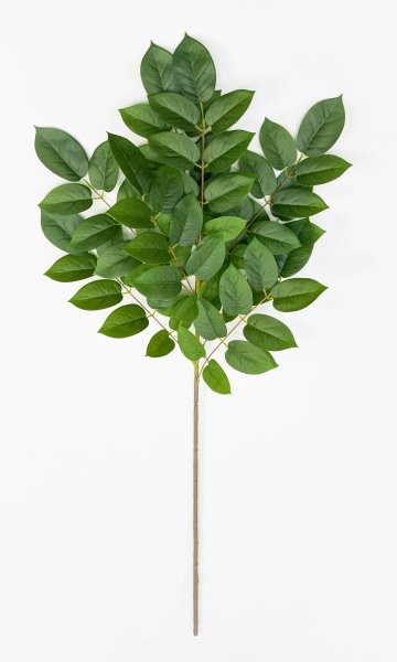 картинка Ветка гуавы высокая от магазина KALINA