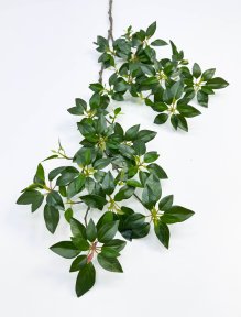 картинка Ветка Энкиантуса от магазина KALINA