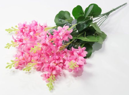 Дельфиниум