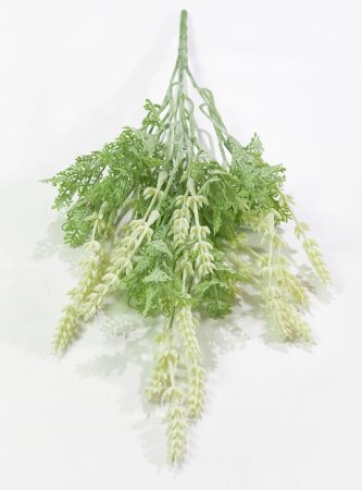 a5f0598d9fcd096b36454406fcf6607d