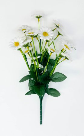 Ромашка "Медовая белая" 22 цветка