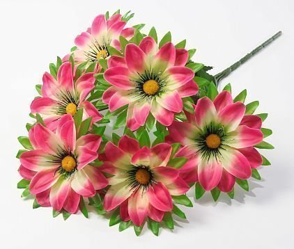 Георгин "Жади" 6 цветков от магазина KALINA являющийся официальным дистрибьютором в России 
