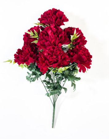 Гвоздика "Кудрявая" 7 цветков