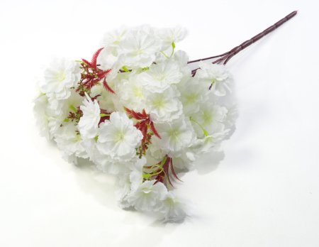 Букет яблони "Майя" 5 веток