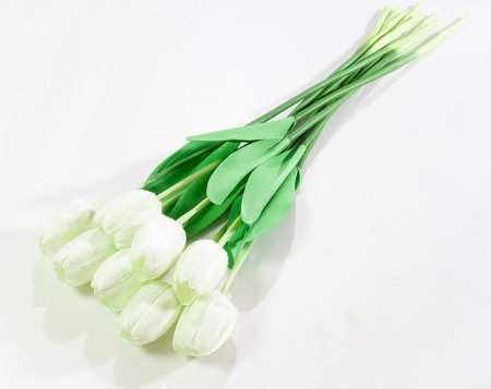 8caa108bb137b66c75267c44d4128463