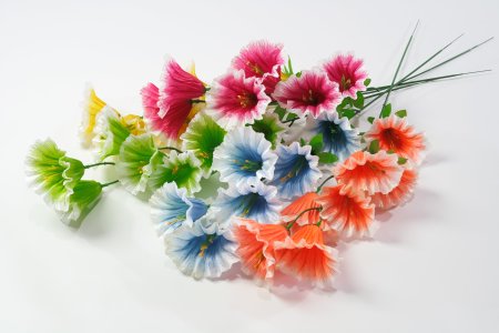 Ветка петунии