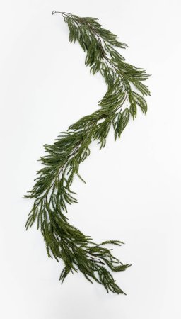 Лиана хвойная Тсуга канадская 200 см