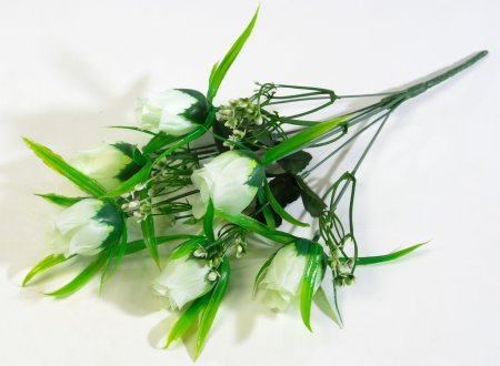 Роза Сольфеджио 6 цветков