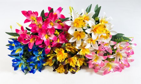 Нарцисс "Белла" 12 цветков