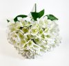 Букет гортензий 5 веток молочная