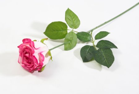 Роза с латексным покрытием крупная гибридная