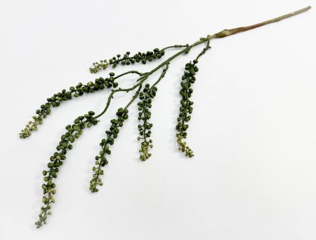 картинка Фитолакка зеленая от магазина KALINA