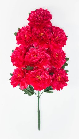 Пион "Великан" 10 цветков