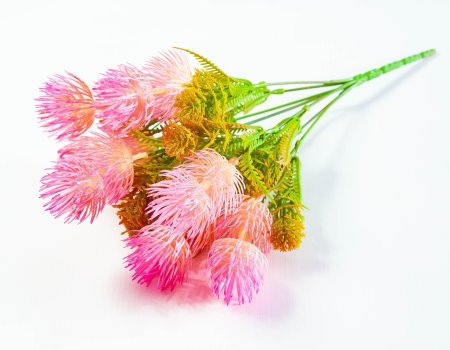 Букет гемантуса