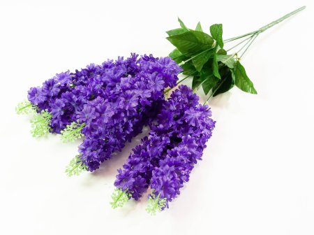 cf610e6458bd0a581e0741addee75a78